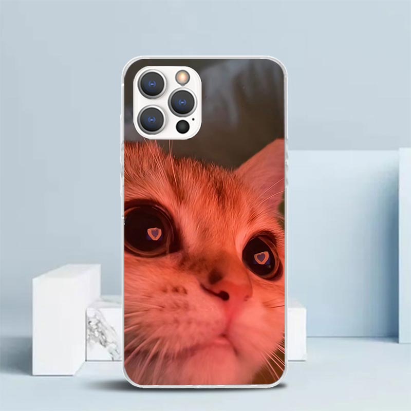ペット猫の面白いミーム柄ソフトカバー iPhone 16 1 - Phone Cases That Fit Iphone 16E のレビューと価格