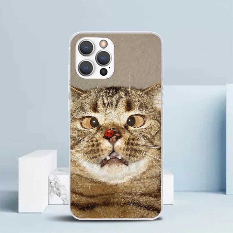 ペット猫の面白いミーム柄ソフトカバー iPhone 16 1 - Phone Cases That Fit Iphone 16E のレビューと価格